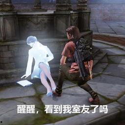 娱乐圈吃瓜游戏小说